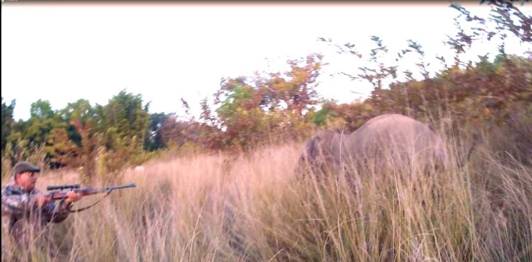 Elephant Shooting Photo